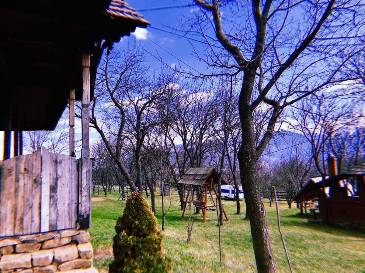 Granny'S House Moisei Exterior foto