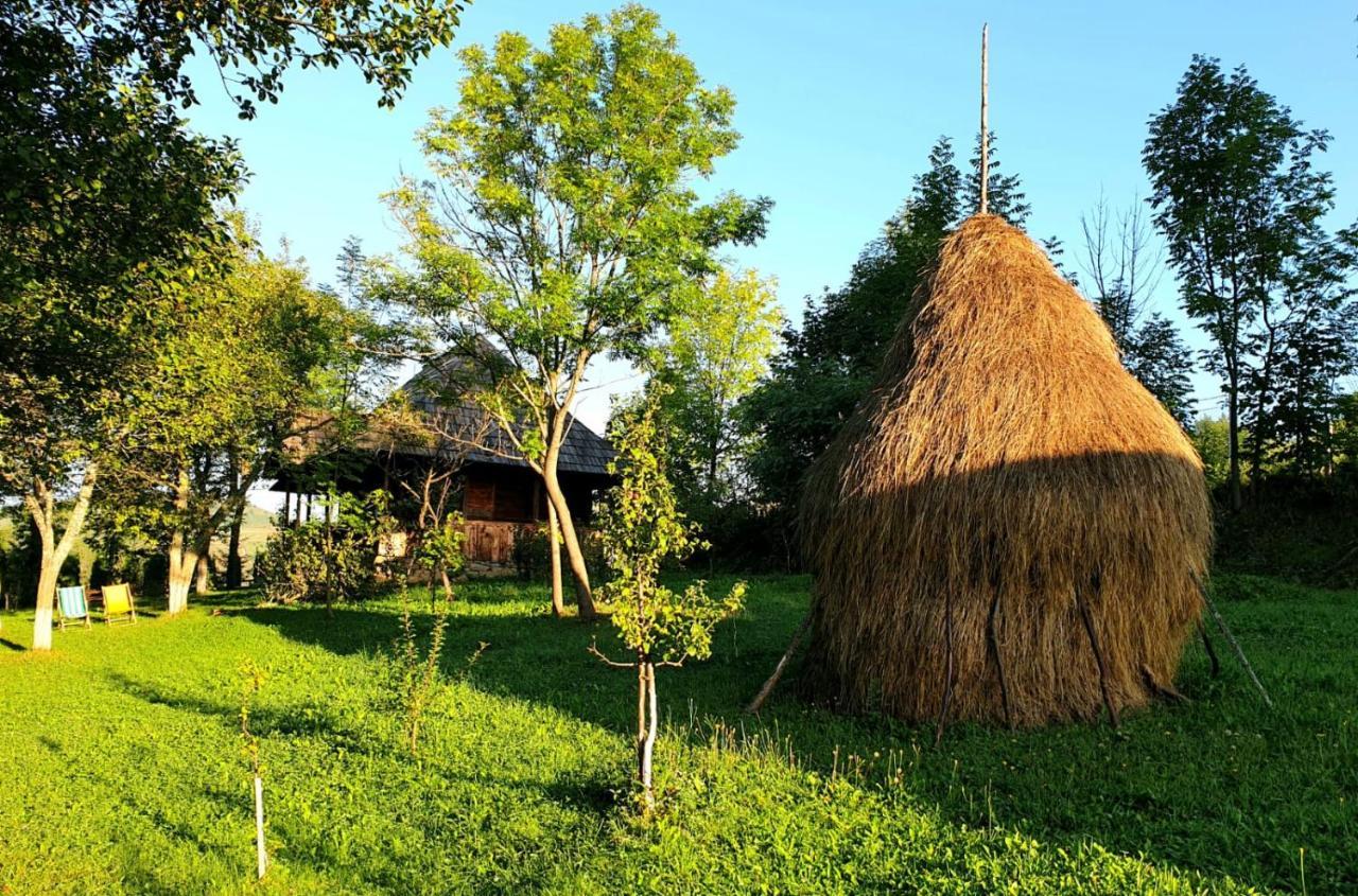 Granny'S House Moisei Exterior foto