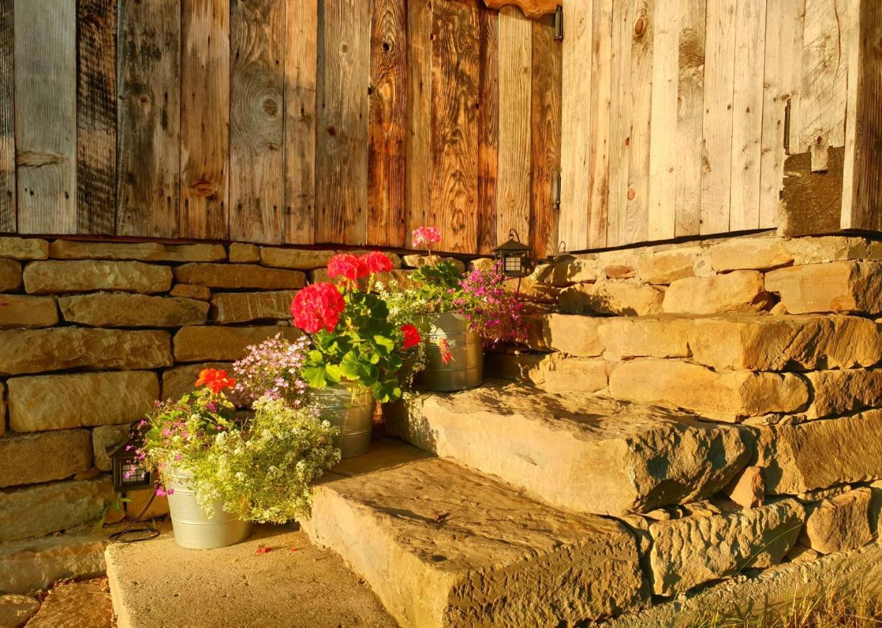 Granny'S House Moisei Exterior foto